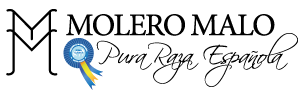 Yeguada MOLERO MALO