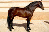 chiquillo03.jpg