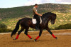 chiquillo07.jpg