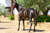 clasica1.jpg