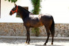 clasica4.jpg